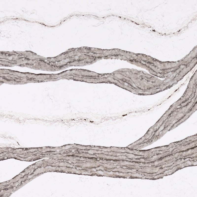 Large format quartz slab with organic layered pattern movement