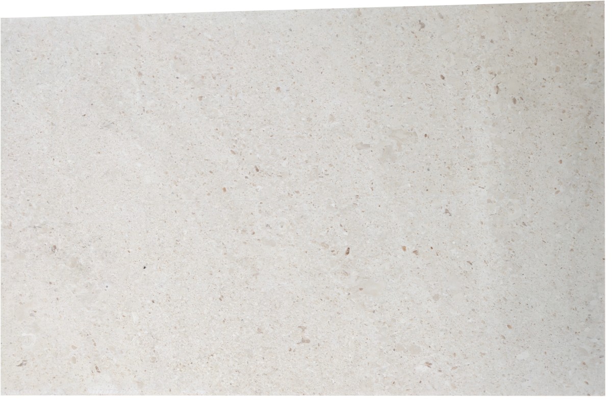 Honed limestone surface close-up with fine fossil texture and natural pores