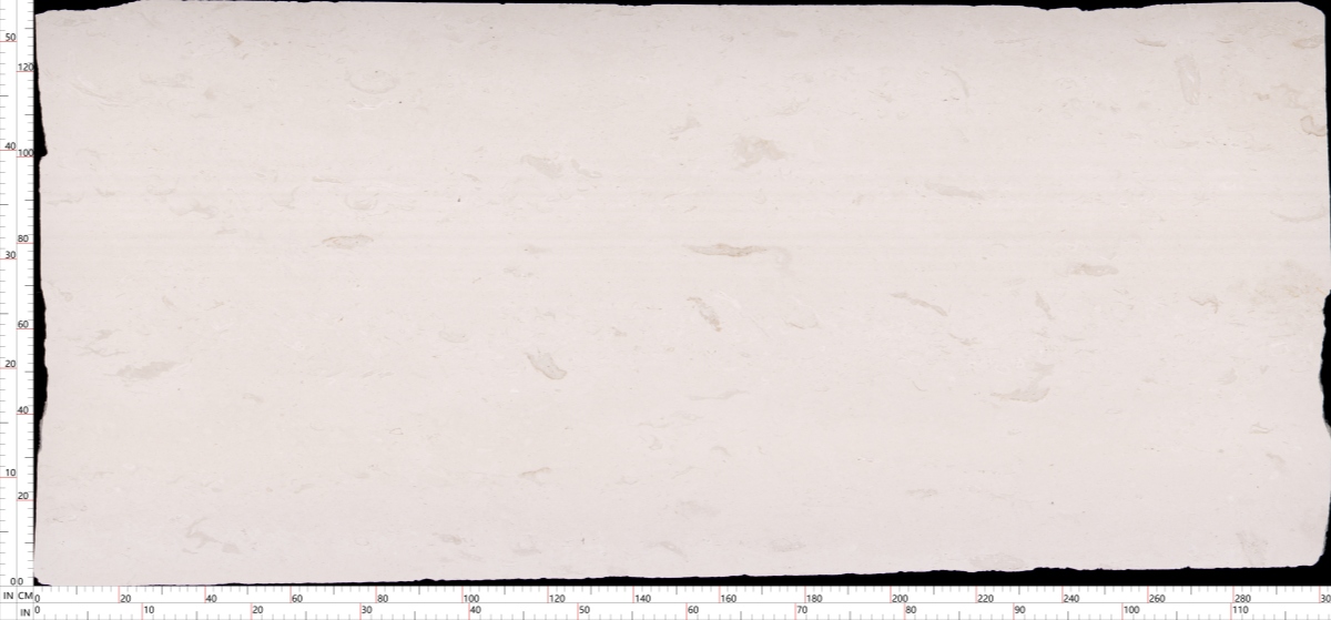 Full natural Benin White Limestone slab with ruler and irregular raw edges 